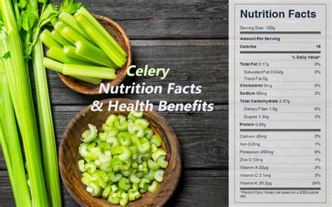 celery royal dial|Celery Nutrition Facts and Health Benefits .
